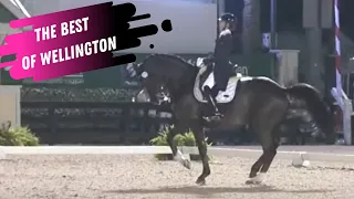 The Best Of Wellington - Isn't All That Great: Vanommeslaghe & Edison Win The Grand Prix Freestyle