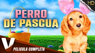 PERRO DE PASCUA | HD | PELICULA FAMILIAR | PELICULA COMPLETA EN ESPANOL LATINO