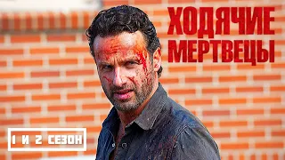 Подробный пересказ ХОДЯЧИЕ МЕРТВЕЦЫ - 1 и 2 сезон (The walking dead) [сюжет сериала]