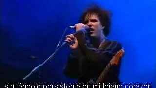 the cure   untitled 1998 bizarre festival subtitulada