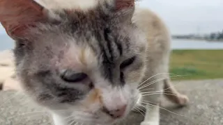 ２０２４／０５／０３なるべくタヌちゃんが食事できるように気をつける！