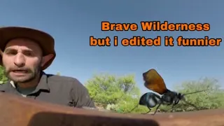 Brave Wilderness - Tarantula Hawk, but i edited it funnier.