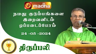 🔴24 May  2024 Holy Mass in Tamil 06:00 PM (Evening Mass) | Madha TV