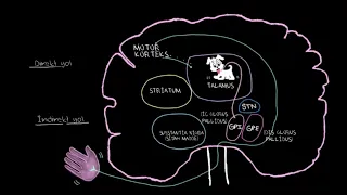 Parkinson Hastalığının Patofizyolojisi: Özet Anlatım (Sağlık Bilgisi ve Tıp)