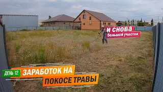 День 12 | И снова кошу большой участок. Заработок на покосе травы триммером.