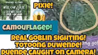 real elf goblin camouflaged caught on camera!😱 no. 9 totoong duwende duende creepy video spooky 😱