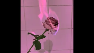 Cancer~ Valentine's Day Special February 2022