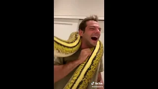 They put a GIANT Snake around Ilya's neck I Vlog Squad Moments #559