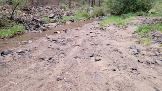 GOLD PROSPECTING AT LYNX CREEK PRESCOTT AZ