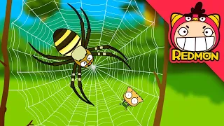 Spiders and flies | Insect world #13 | Cartoons for Kids | REDMON