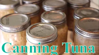 Canning Wild Caught Albacore Tuna With  Linda's Pantry