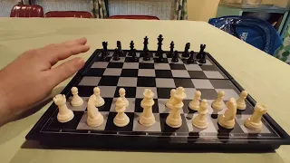 Great travel set! // Amerous Magnetic Chess Set Review