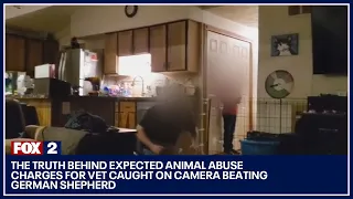 The truth behind expected animal abuse charges for vet caught on camera beating German Shepherd