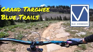 Every Blue Trail at Grand Targhee Bike Park!