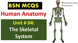 Human Anatomy MCQ | Unit no 04 | BSN Graduates