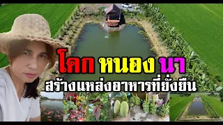 โคก หนอง นา วัยเกษียณ สร้างความสุขให้ครอบครัว และแหล่งอาหารที่ยั่งยืน