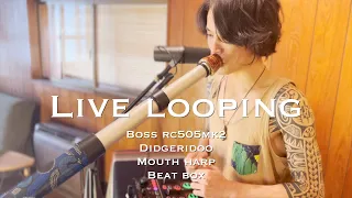 BON FIRE⎮ Live looping⎮ Shigeki Fukuda⎮Boss rc505mk2, Didgeridoo, Mouth harp, Beat box