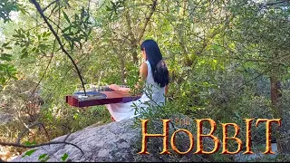 The Misty Mountains Cold | The Hobbit | Guzheng Cover