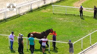 04.07.2021 Балсар - победитель скачки на Пятигорском ипподроме