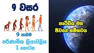 Grade 9 Science in Sinhala | Unit 9 Evolution Part 01 | පරිණාමික ක්‍රියාවලිය 1 කොටස