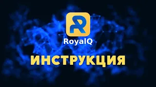 Инструкция RoyalQ от А до Я - 2023