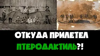 Откуда прилетел Птеродактиль? Когда вымерли динозавры?