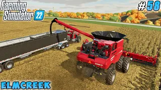 Sunflower harvest, oil production, new CASE IH disc harrow | Elmcreek Farm | FS 22 | Timelapse #58