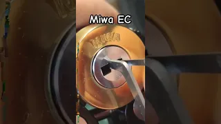 MIWA EC (E6) picked and gutted