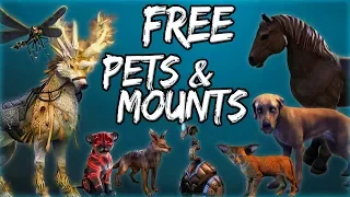 FREE PETS & MOUNTS in Elder Scrolls Online (ESO Guide)