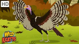 Be Thankful for Turkeys | Happy Thanksgiving! [Full Episodes] Wild Kratts