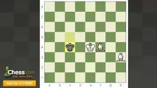 Chess Endgames: Mating with Two Bishops