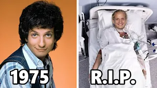 WELCOME BACK, KOTTER (1975–1979) CAST THEN AND NOW 2024 ★ The actors have aged horribly!!