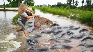 Simple Catching A lot Catfish & Snakehead Fish on The Road Flooded - Amazing Fishing in Flood Season