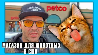 ТОВАРЫ ДЛЯ ЖИВОТНЫХ В США, ЦЕНЫ НА ЕДУ ДЛЯ КОТОВ, СОБАК, ОБЗОР МАГАЗИНА PETCO В АМЕРИКЕ