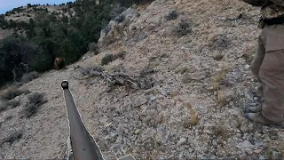 TOO CLOSE FOR COMFORT - Nevada Bull Elk Hunt