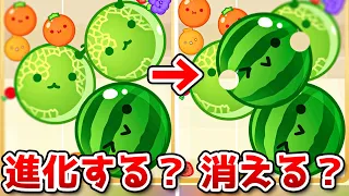 What happens if you make two watermelons? 【Suika Game】