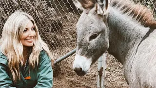 Animales rescatados del volcán de la Palma en Aquí la Tierra (TVE) (V)