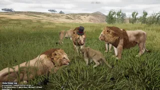 Animalia Survival First Experience As Lion