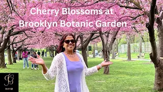 Cherry Blossoms at Brooklyn Botanic Garden