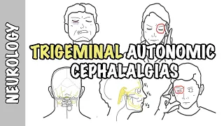 Severe headaches - Understanding Trigeminal Autonomic Cephalgias - types, pathophysiology, treatment