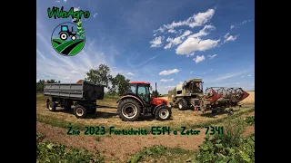 Žně 2023 Fortschritt E 514 a Zetor 7341-Ječměn