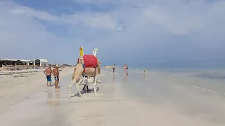 Пляж отеля Djerba Beach 4, Тунис 2020 год.