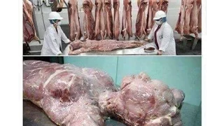 Human Flesh Served in Nigerian Restaurant