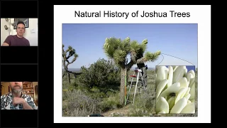 Joshua Tree Genome Project