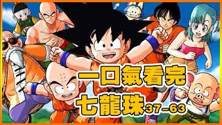 Read "Dragon Ball Z 37-63" in one breath