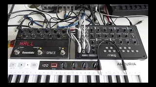 Moog Mavis & Eventide Space