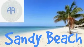 The Sandy Beach Chronicles – Episode Four