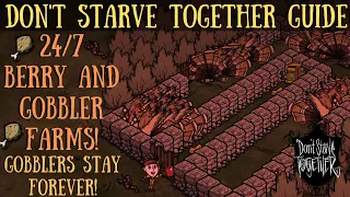 "NEW", IMPROVED, 24/7 GOBBLER FARMS! - Don't Starve Together Guide - More Gobblers, Less Hassle!