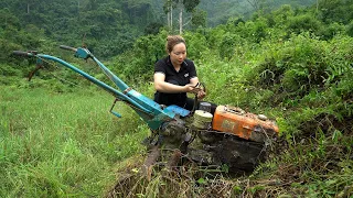 💡The genius girl who crossed 55km to repair the farmer's Diesel engine surprised the farmer (ep13)