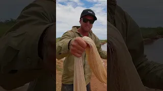 HOW TO THROW A CAST NET AND CATCH FISH